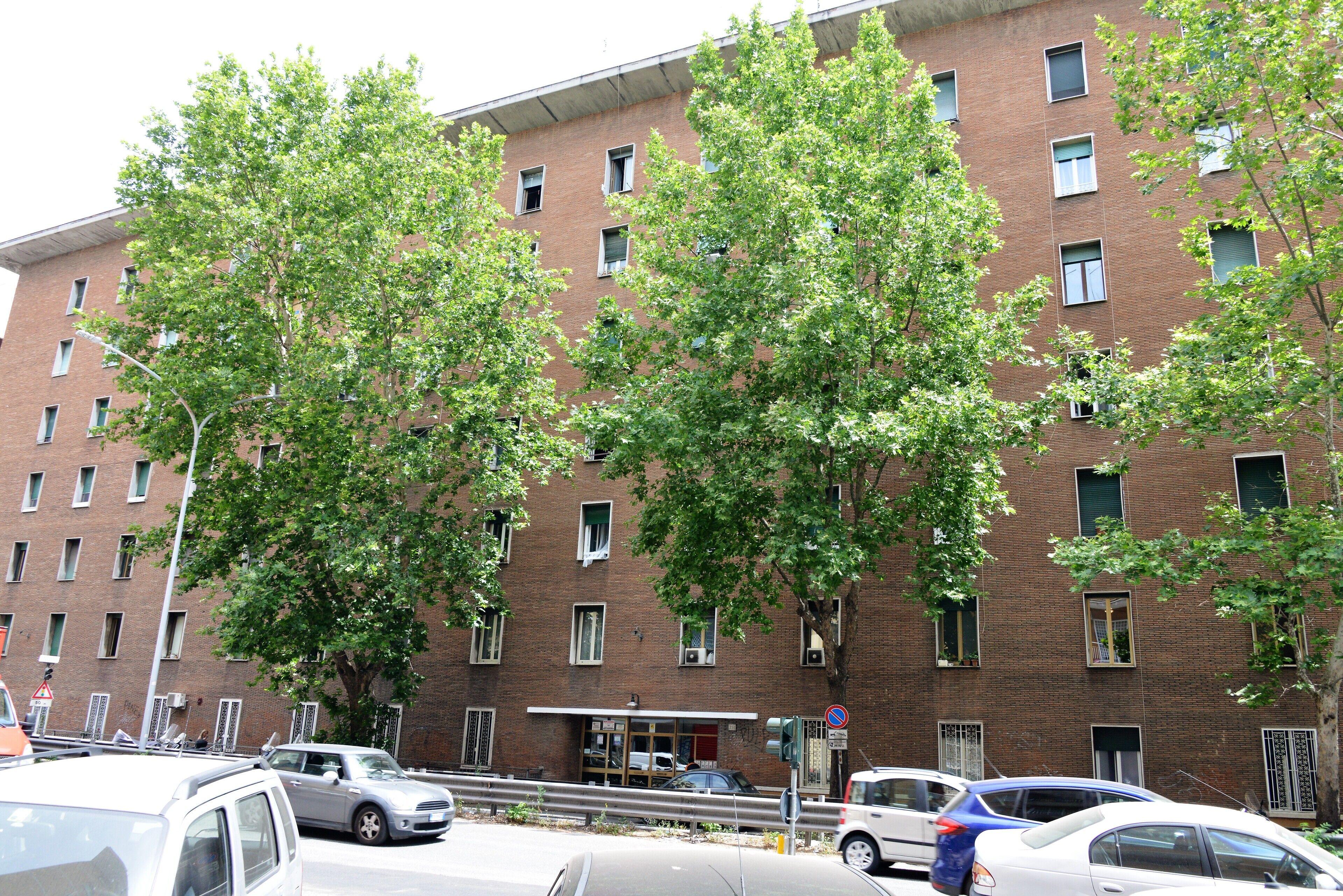Affittacamere A Casa Mia, Rome